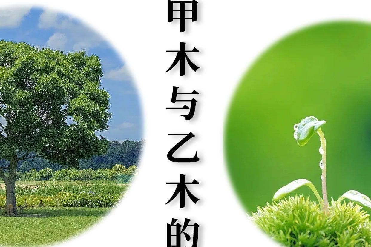 甲木和乙木的性格特质及区别