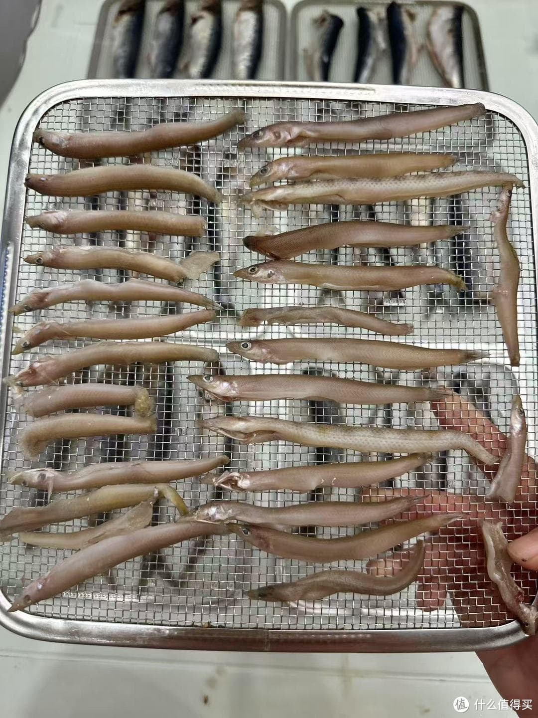 自制烘干狗零食：为你的爱宠打造健康美味