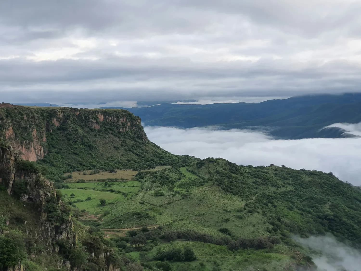 成都阴天出游指南：峡谷云海与艺术展览任你选