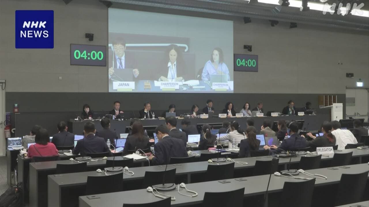 联合国委员会再次审查日本“夫妻同姓”规定，民间组织批政府回应