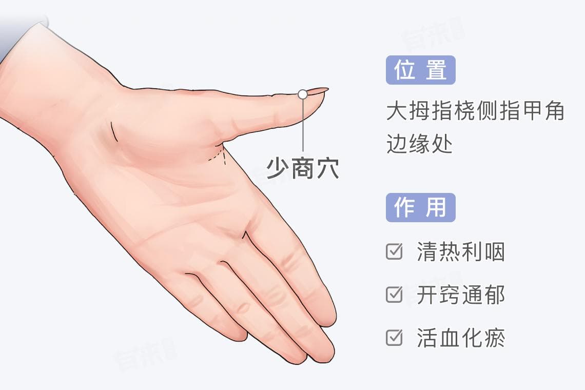少商穴的位置与作用功效