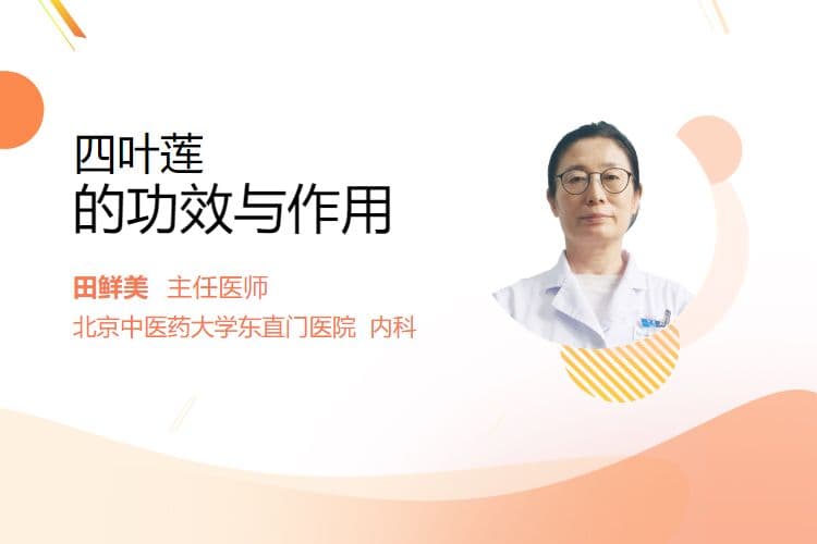 四叶莲的功效与作用