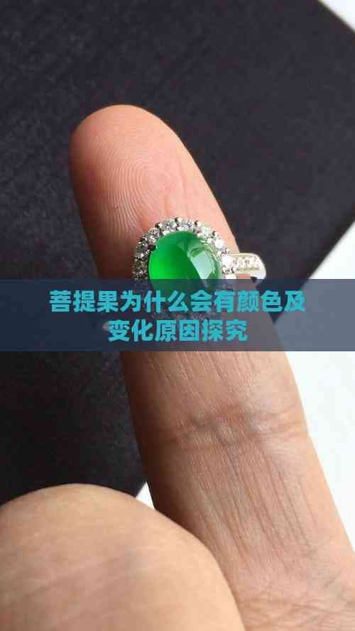 菩提果为什么会有颜色及变化原因探究