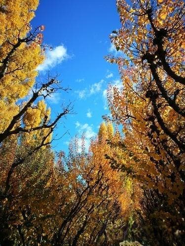 配饰材质选择：实用性与美观性的平衡