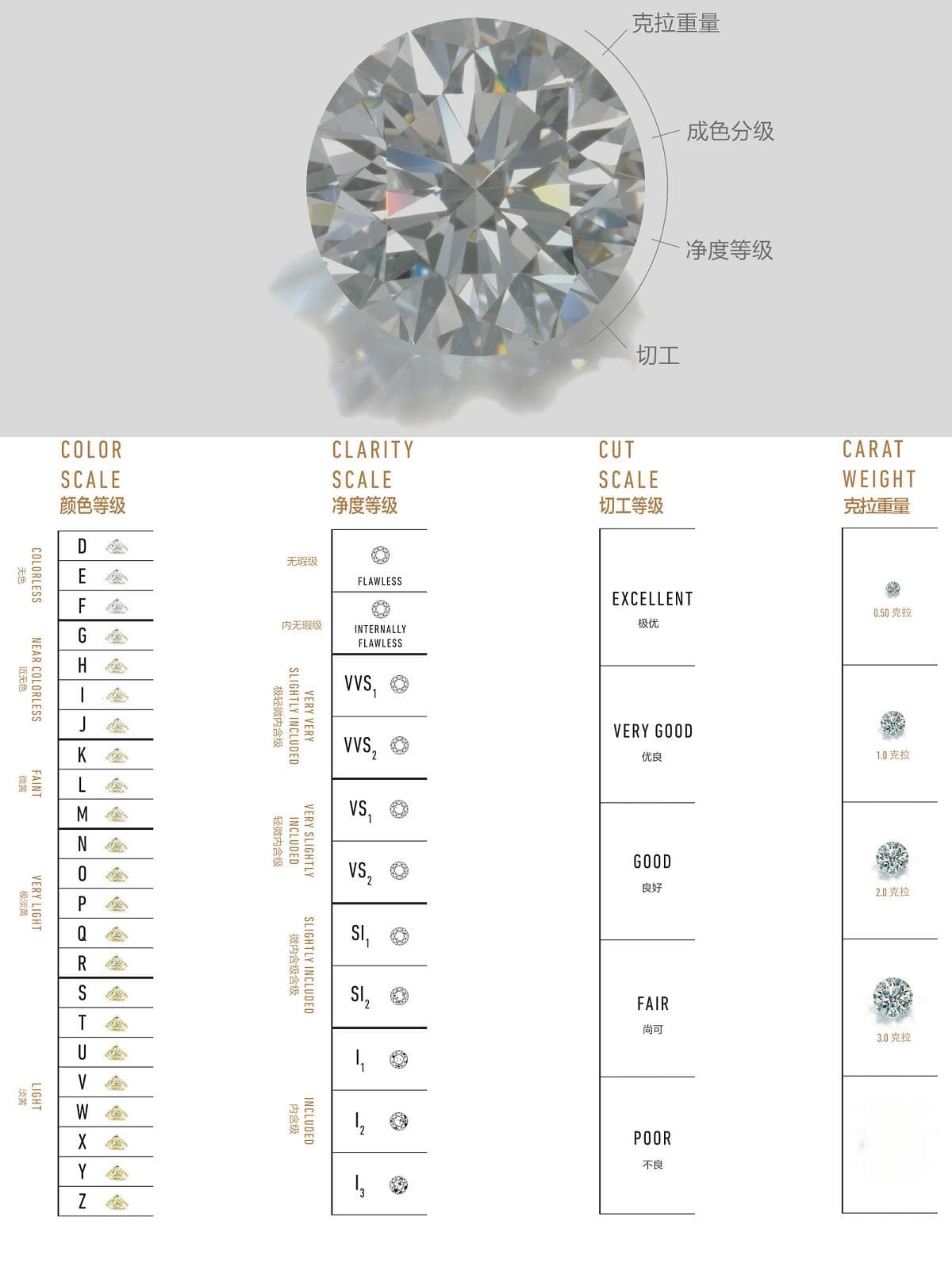 1分钟教你看懂GIA证书｜干货分享！专业避坑！