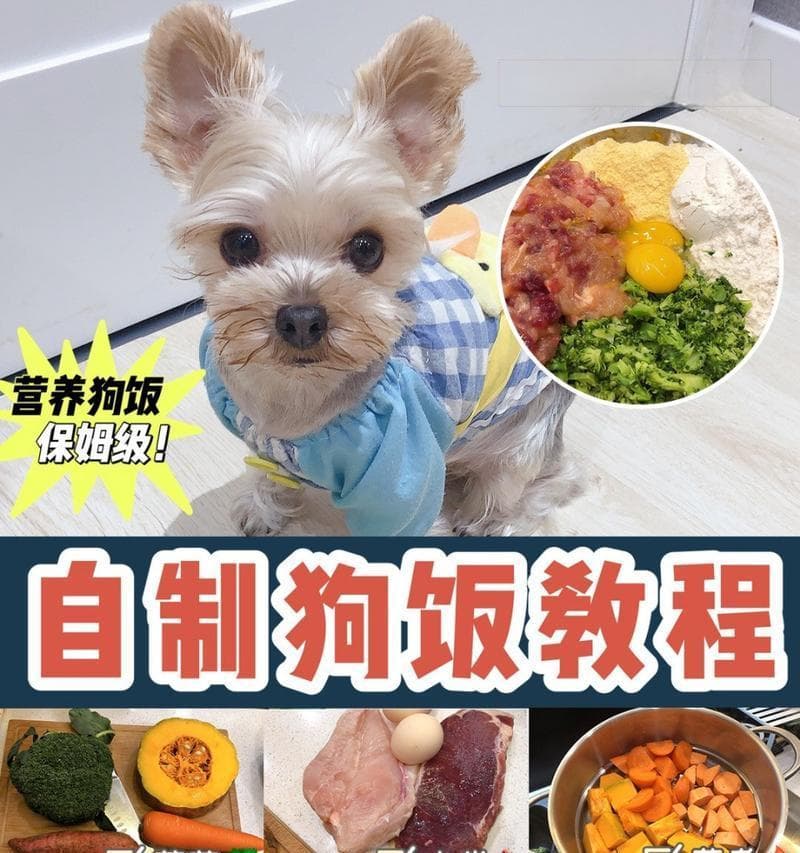 20斤狗的自制粮食谱是什么？自制狗粮的正确分量是多少？