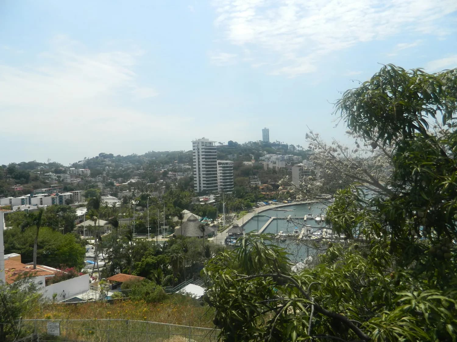 海岛度假怎么选？鼓浪屿东山岛特色对比攻略
