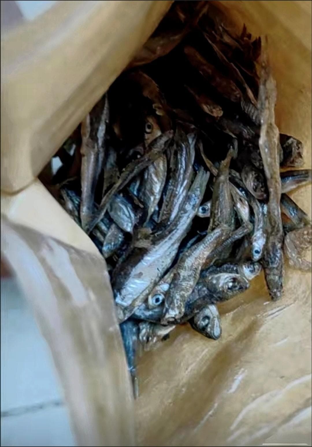 猫咪小鱼干：营养与美味的完美结合