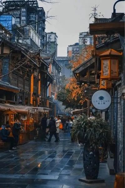成都宽窄巷子：探索川味美食与历史文化