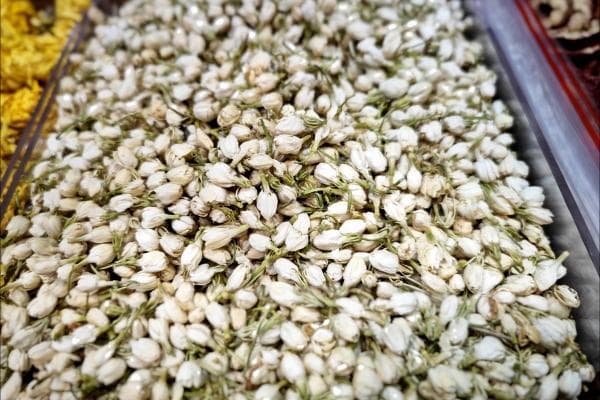 茉莉花茶的功效与饮用指南