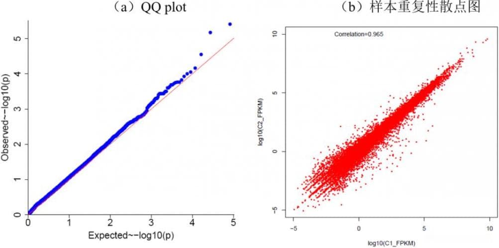 QQ plot 的解读