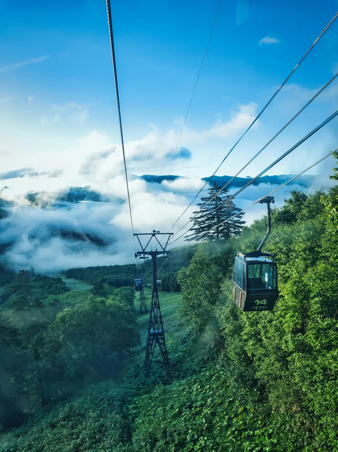 南昌到峨眉山旅游攻略：超详细路线大揭秘！