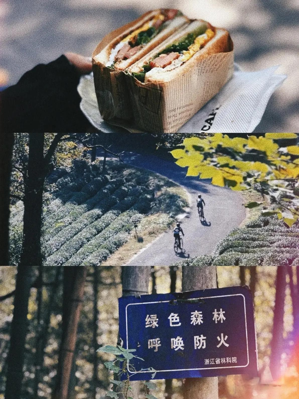 杭州9条优质骑行路线推荐：从平路到爬坡，总有一条适合你