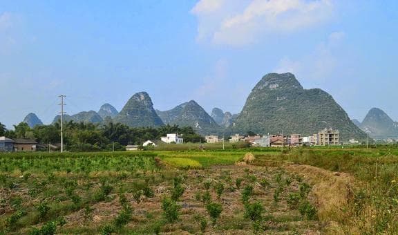 广西美食之旅：从桂西北甜栗到桂林的味觉盛宴