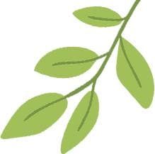 3月桃树怎么管？