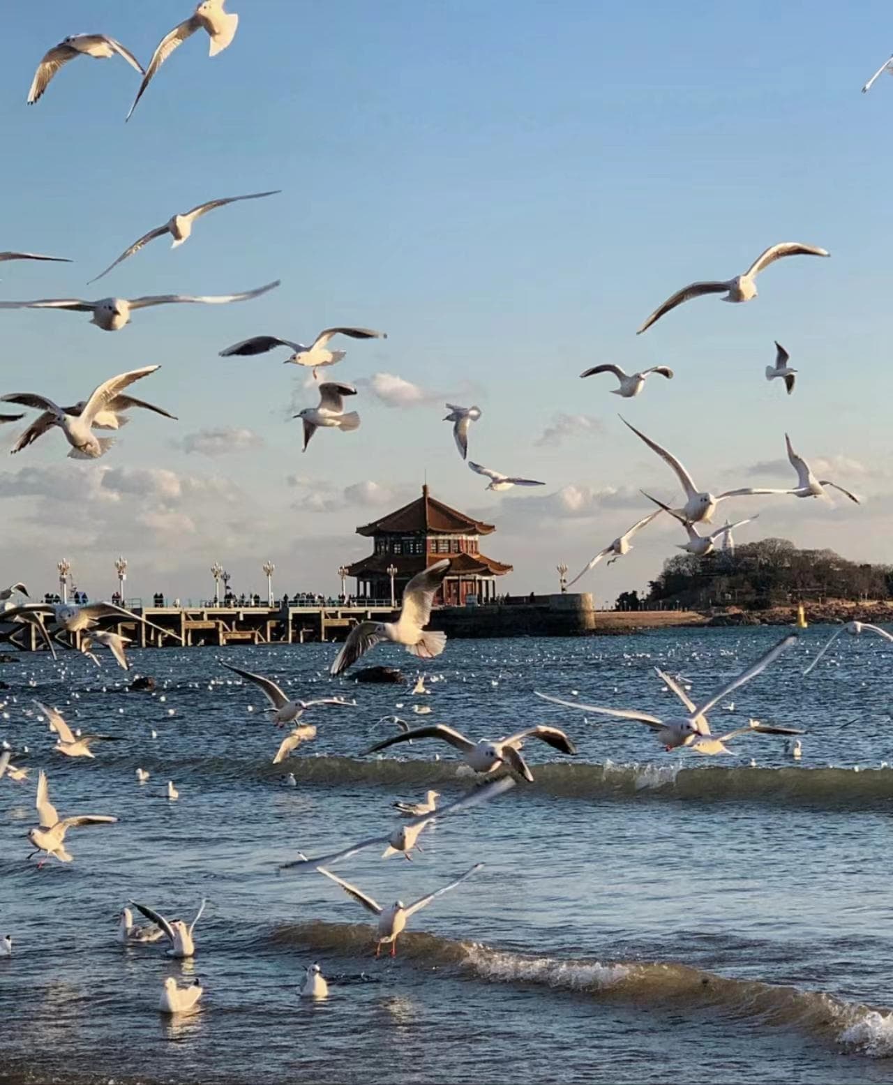 青岛旅游费用大揭秘：如何合理规划你的旅行预算