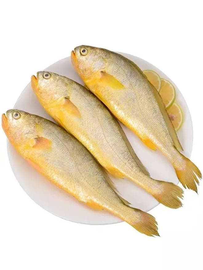 黄花鱼和黄鱼的区别：从外观到烹饪的全面解析