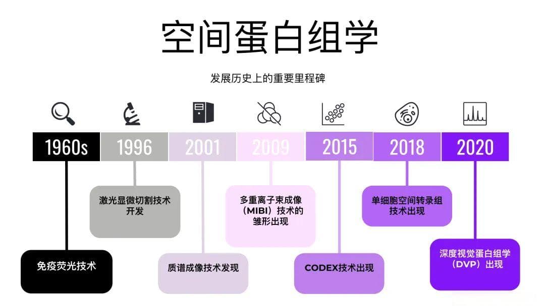2024《Nature Methods》年度方法：为何选择空间蛋白组学？