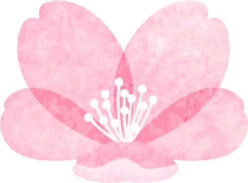 江门乐溪春日游：禾雀花、插秧与垂钓的完美结合