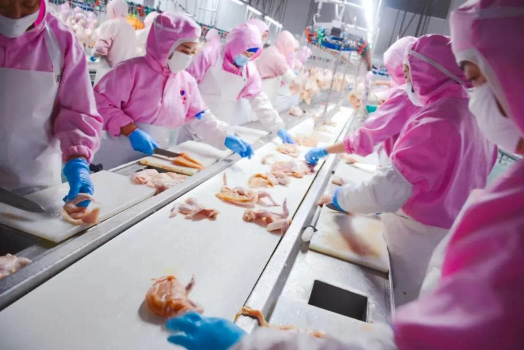 强化食材供应链建设，守护“舌尖”上的安全