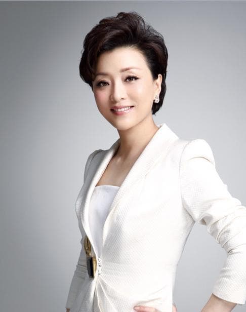 杨澜&董卿：央视主持人的职场逆袭之路