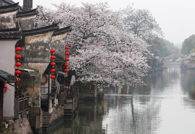 春游浙江：十座人少景美的古镇，藏着江南最纯正的春色