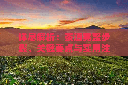 详尽解析：茶道完整步骤、关键要点与实用注意事项指南