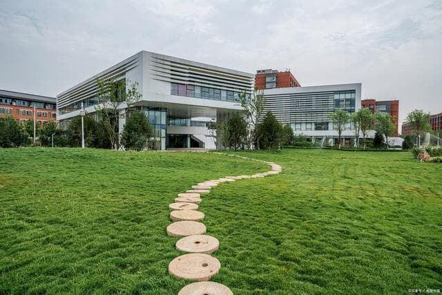 心理学专业大学排名及深度解析