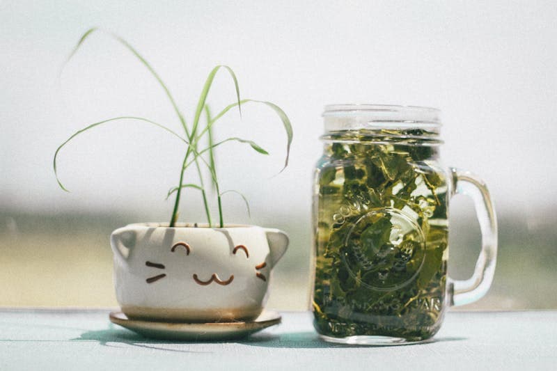 炒香菇时加入茶叶，味道更鲜美