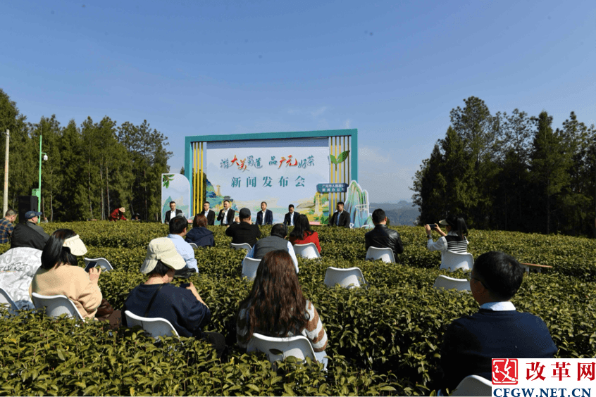 “游大美蜀道 品广元好茶”新闻发布会在广元旺苍举行