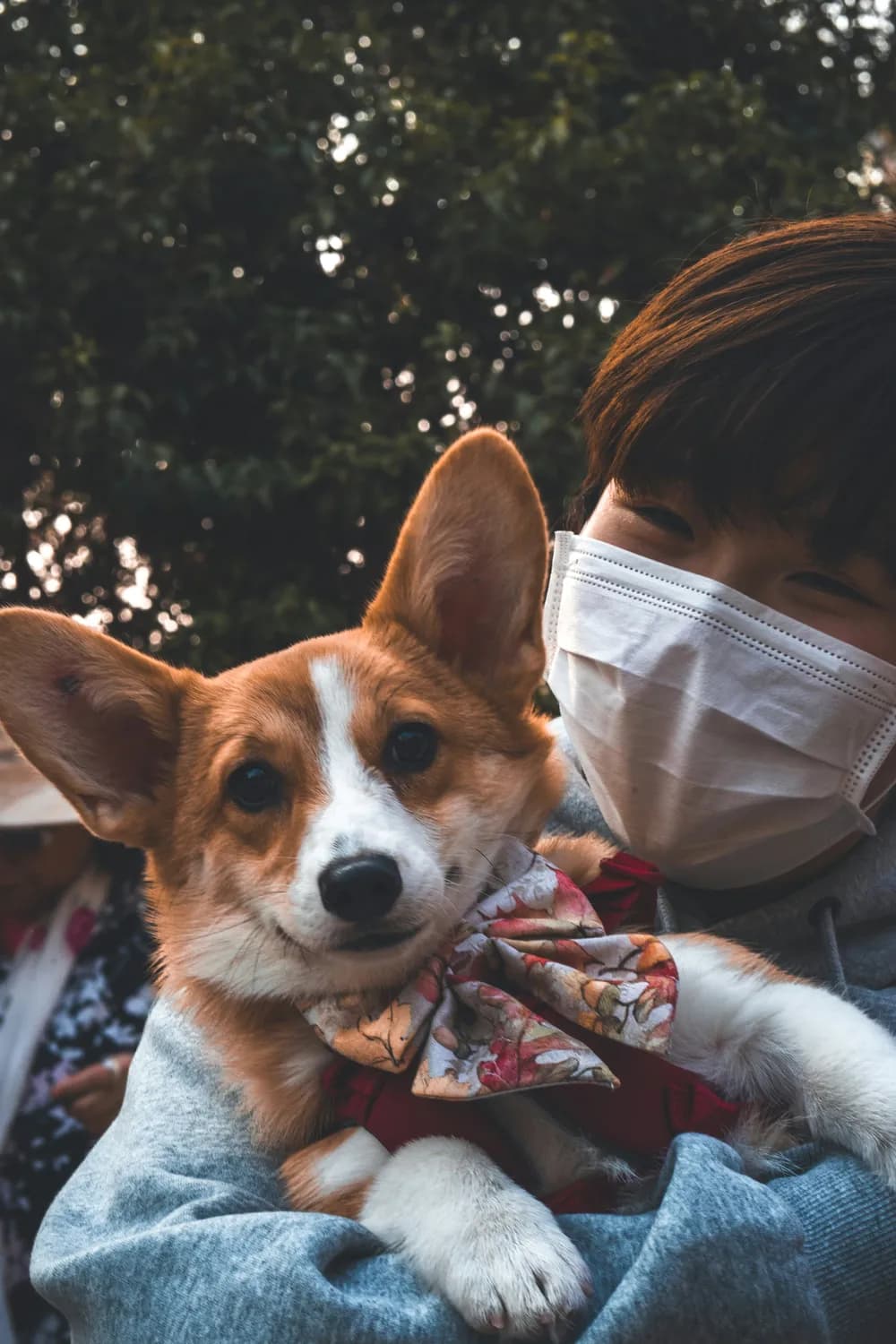 WHO发布狂犬病预防指南：mRNA疫苗成研究新方向