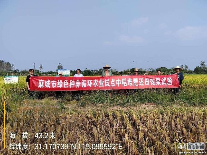麻城市开展粪肥还田试验  助推绿色种养循环农业发展