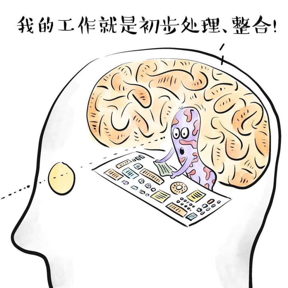 知识窗｜小技巧助你科学提升记忆力