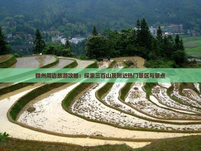 赣州周边旅游攻略：探索三百山及附近热门景区与景点