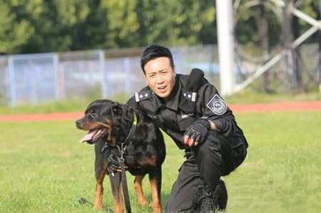 《警花与警犬》剧情介绍 《警花与警犬》讲的什么？