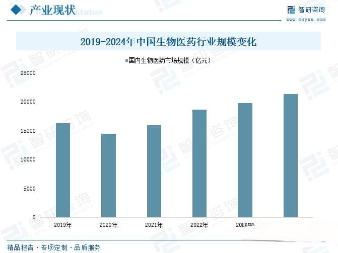 2025年中国生物医药行业深度分析：市场规模超2万亿元，创新驱动高质量发展