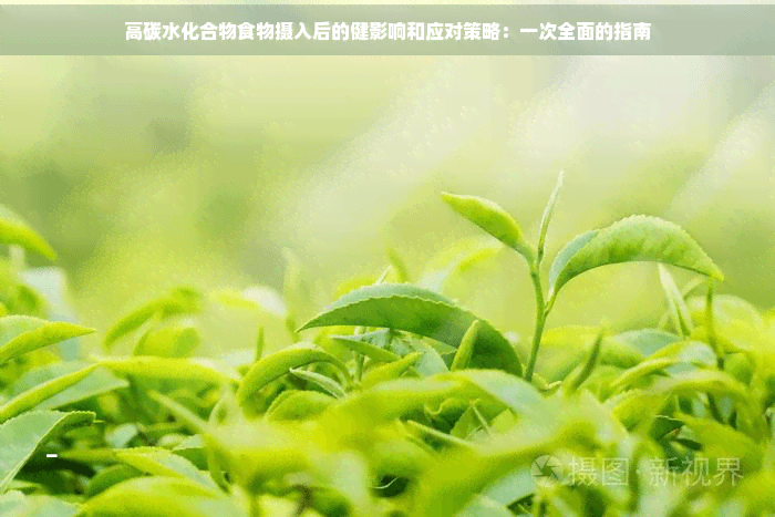 高碳水化合物食物摄入后的健康影响和应对策略：一次全面的指南