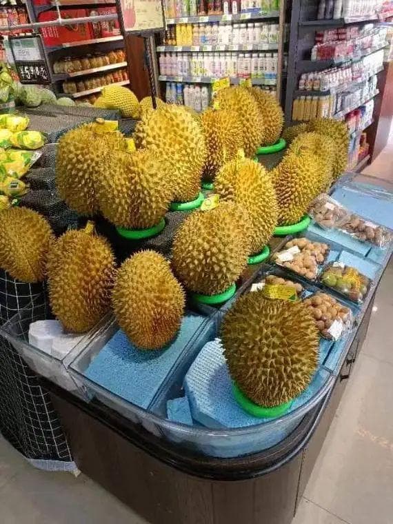 大榴莲一个三百多贵吗？市场行情告诉你值不值！