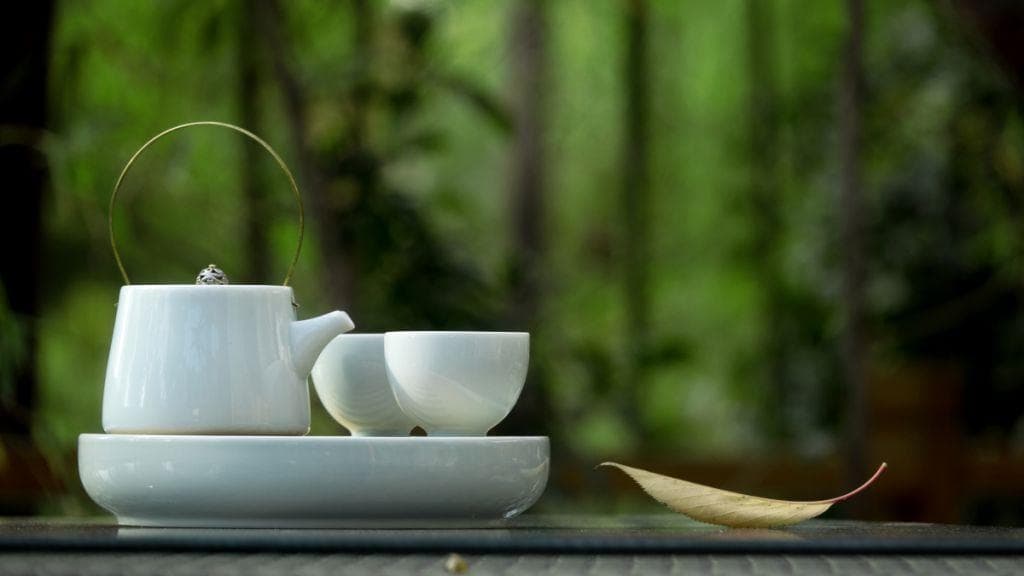 祛湿茶推荐，6种解暑祛湿茶教程建议收藏！