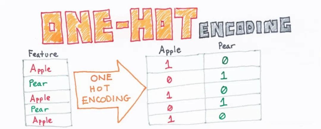 一文搞懂 One-Hot Encoding（独热编码）