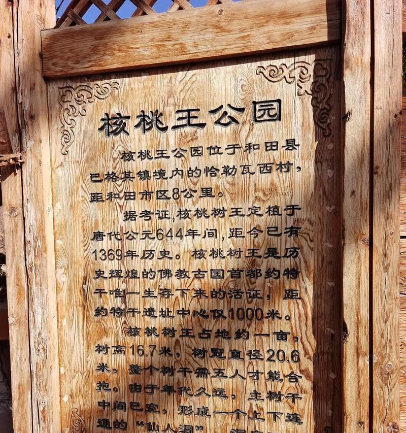 核桃果期养护全攻略：从采摘到储存的十二个关键环节