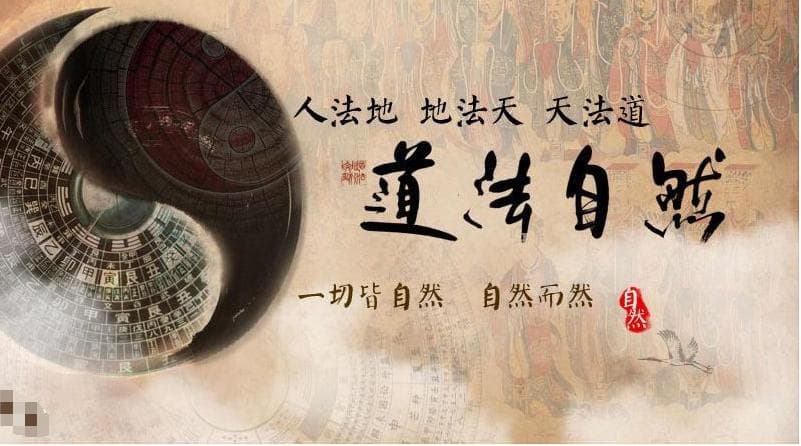 自然之道：9条让你受益匪浅的自然智慧