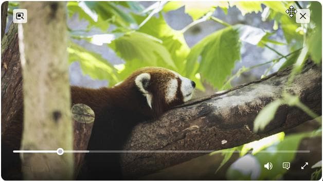 Firefox 的画中画功能使用指南
