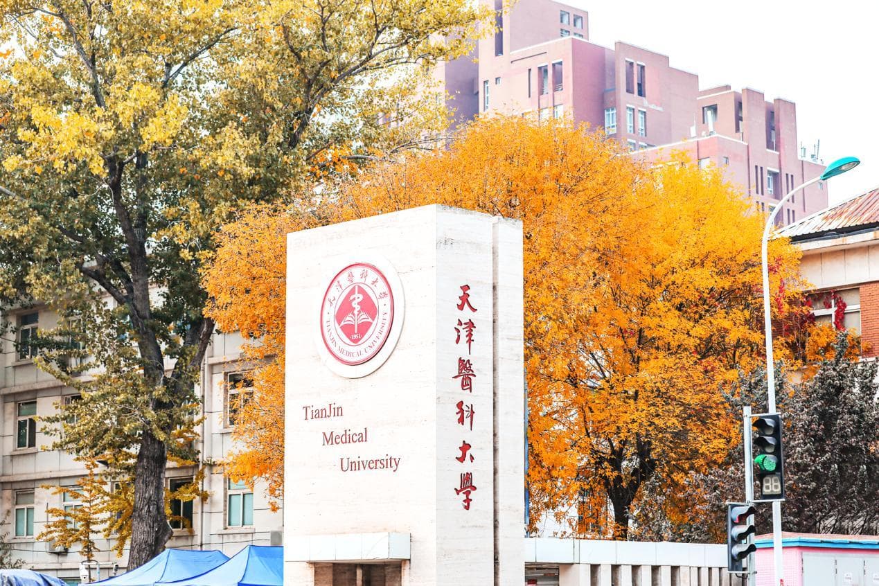 天津医科大学医学影像学专业：培养跨学科全能人才