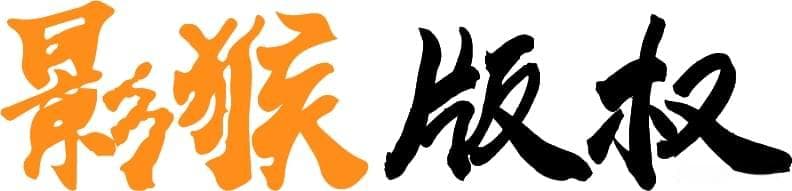 网络小说版权归属与侵权案例解析