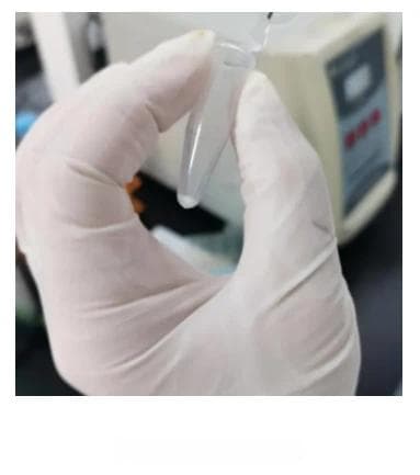 手把手教学：TRIzol提取细胞RNA的详细步骤与注意事项