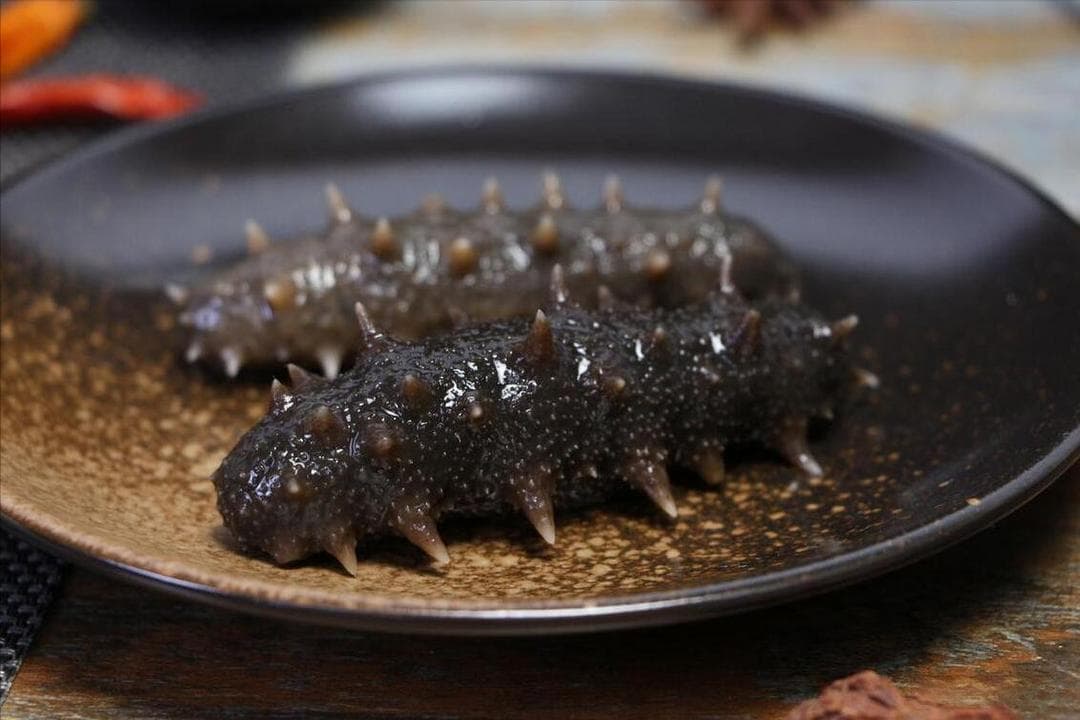 中国十大海参产区：从大连到蓬莱，品味海洋珍馐
