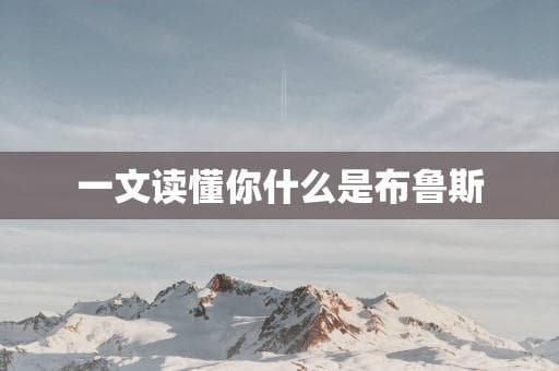 一文读懂什么是布鲁斯