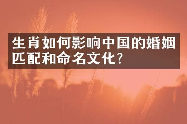 生肖如何影响中国的婚姻匹配和命名文化？