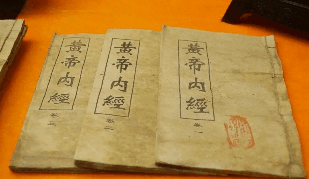 港澳地区中医专业全攻略：院校选择与申请指南
